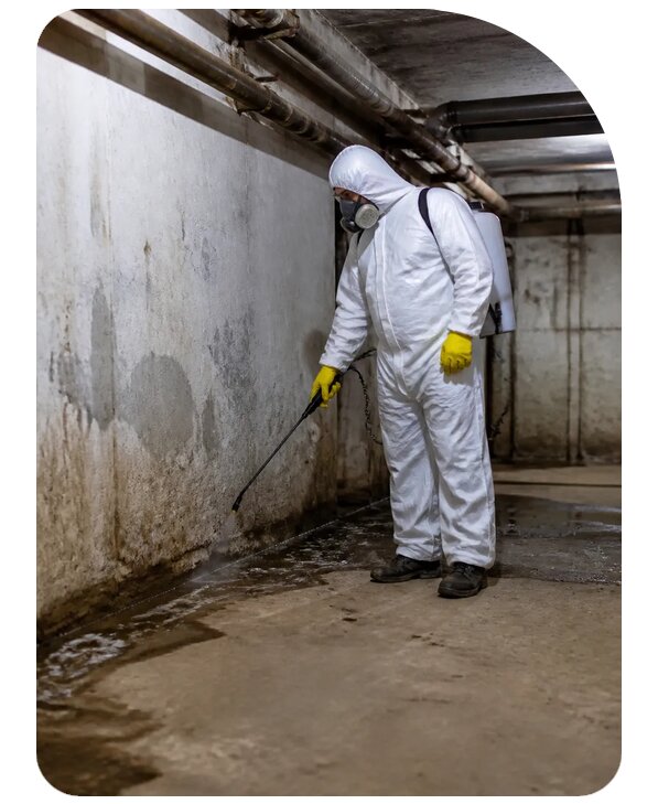 Обработка подвала от блох в Усинске по цене от 4607 р. | Сенат-Снс