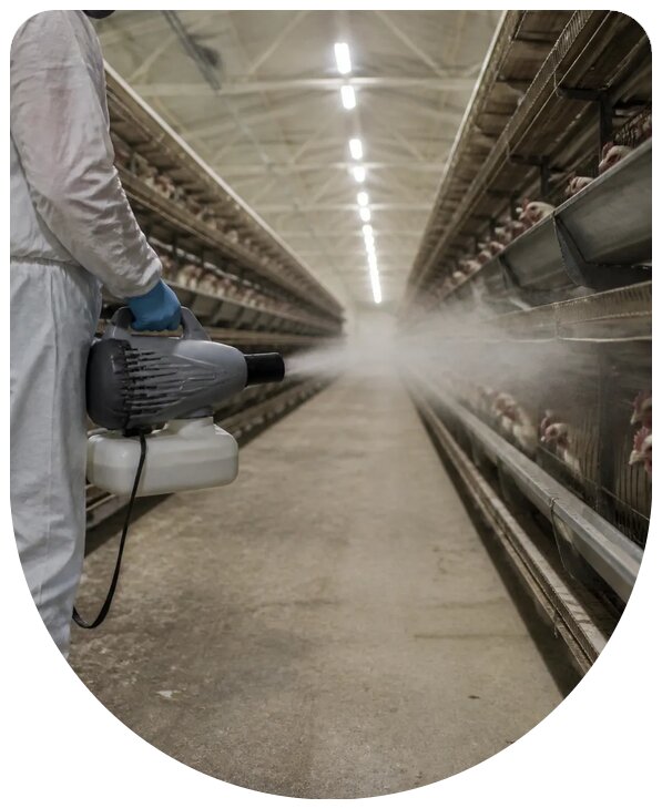 Профессиональная дезинсекция птицефабрики в Усинске